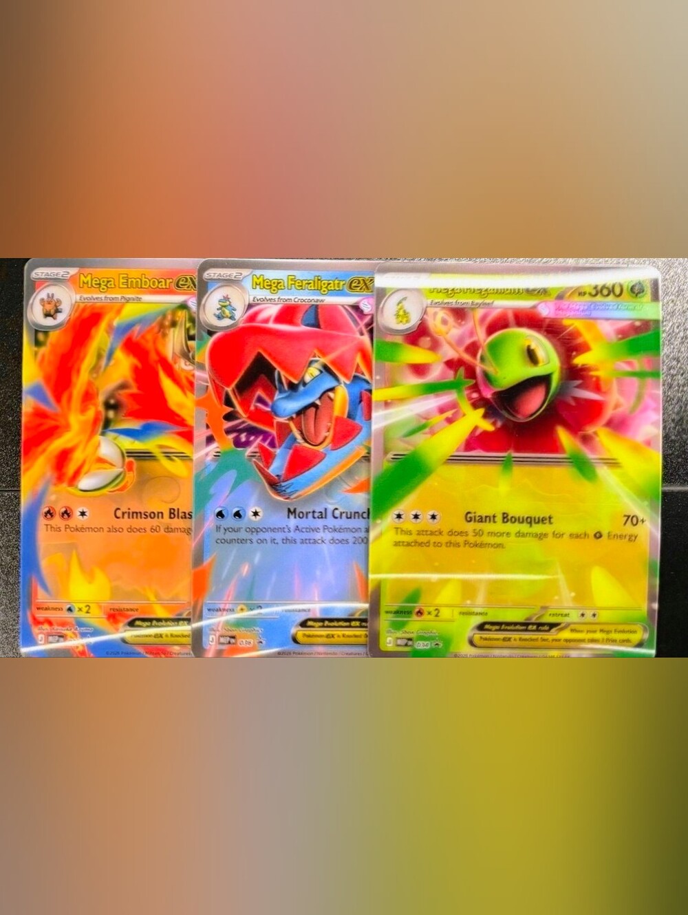 Pokemon Mega's Bundle